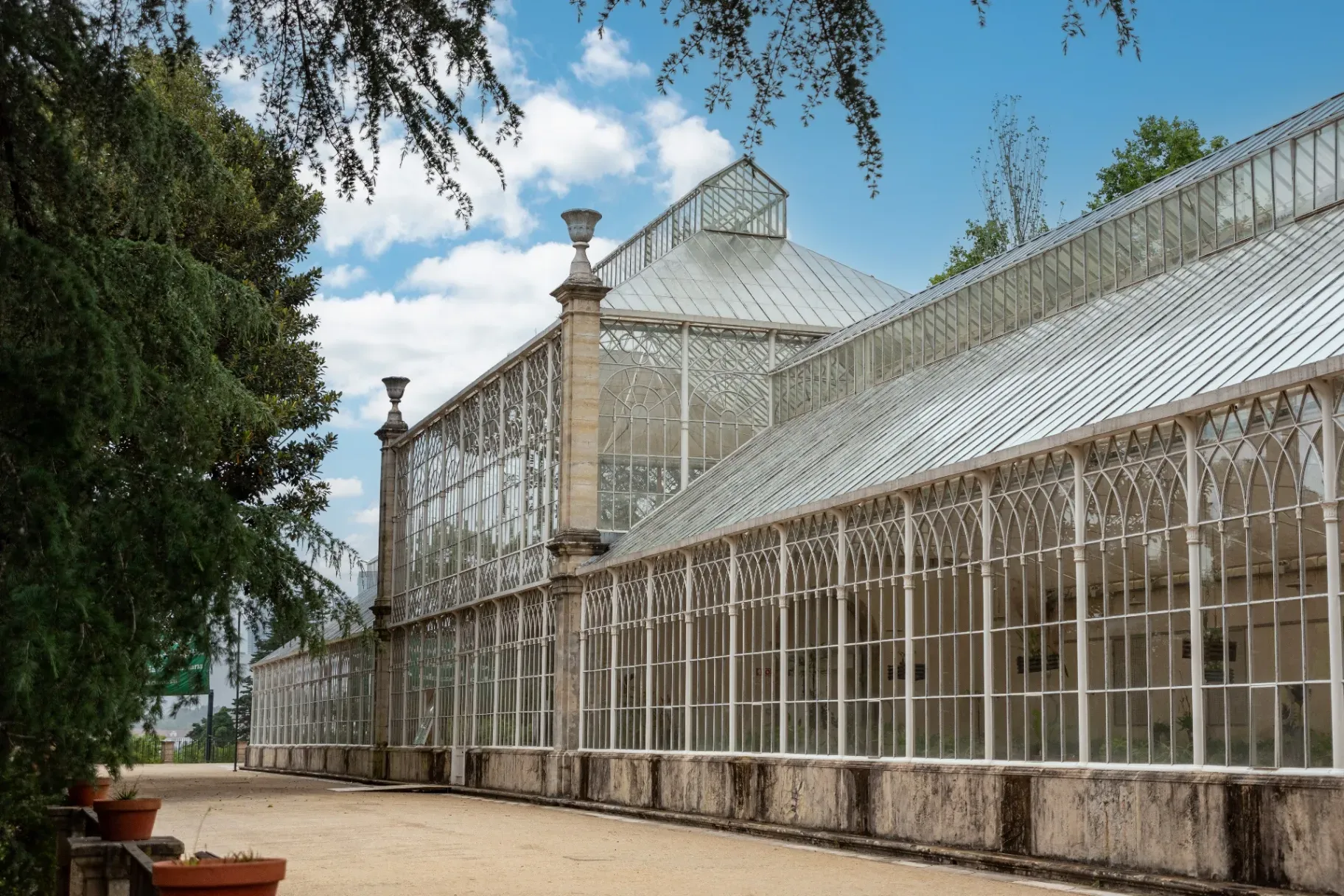 Tropical greenhouse at the Botanical Garden of the University of Coimbra